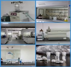 替爾泊肽Tirzepatide 2023788-19-2