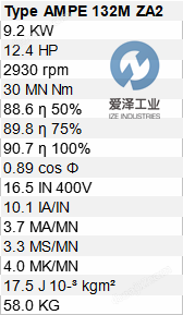LAFERT電機(jī)AMPE132MZA2