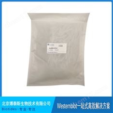 biotides  200ul點樣吸頭 袋裝 PG1002