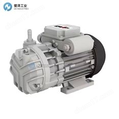 DVP真空泵9801031/TN