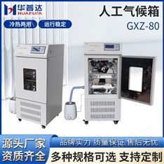 GHZ-80人工氣候箱