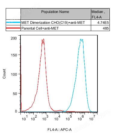 MET Dimerization CHO