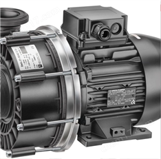 德國Speck Pumpen離心泵Y-2841.OO11