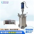GSH-0.5L高溫高壓不銹鋼實(shí)驗(yàn)釜
