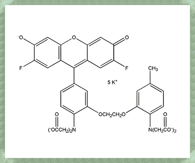 Fluo-4?Pentapotassium?Salt的功能特性