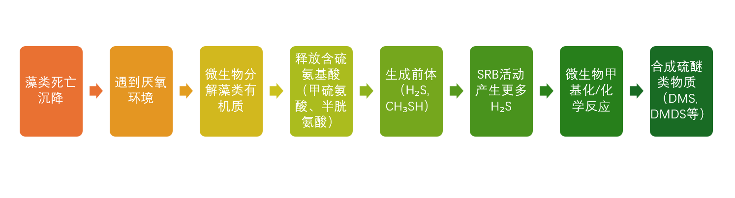 淺析城市供水藻類降解產(chǎn)生硫醚類物質(zhì)的原理和監(jiān)測預(yù)警手段