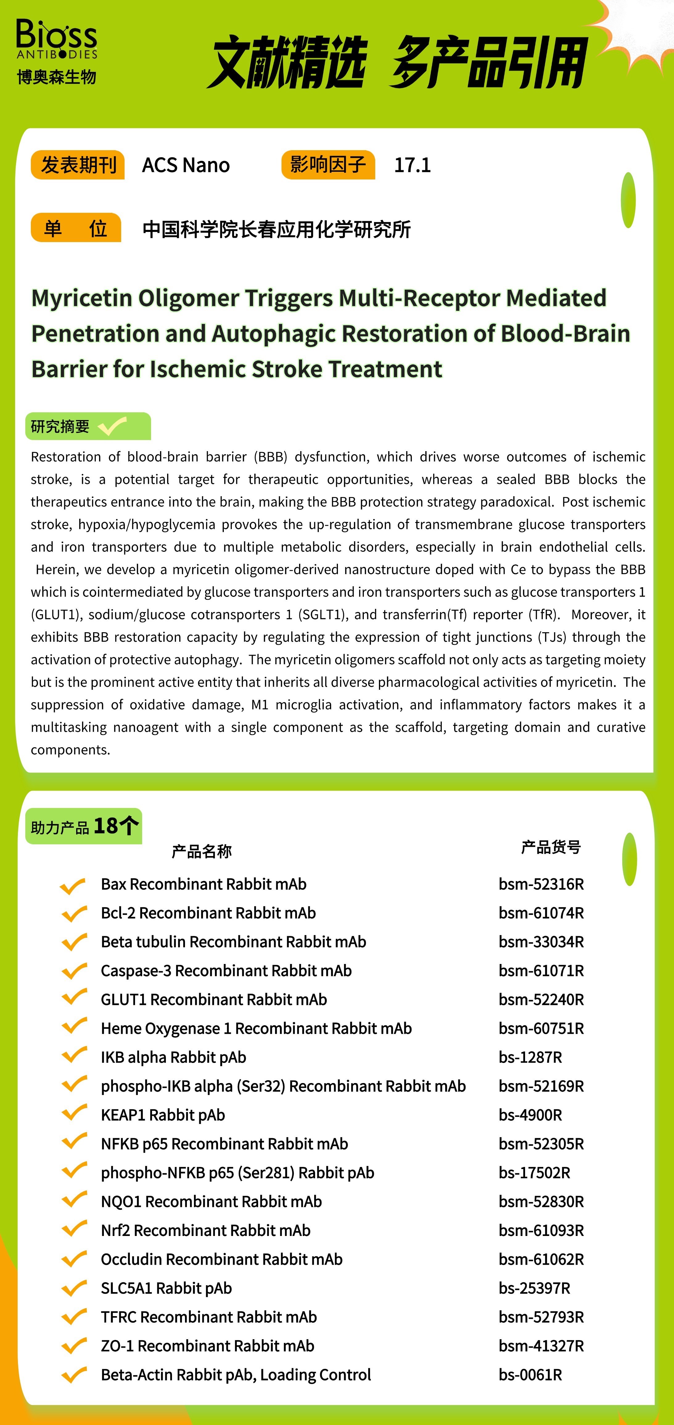 科研加油站 | 楊梅素低聚物治療缺血性中風(fēng)