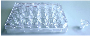 Epithelix体外呼吸道解决方案，MucilAir™与 SmallAir™实用指南