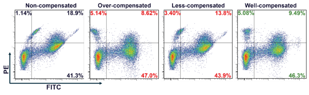 Dr.賽流式小課堂 | 一文囊括流式補償?shù)某R妴栴}