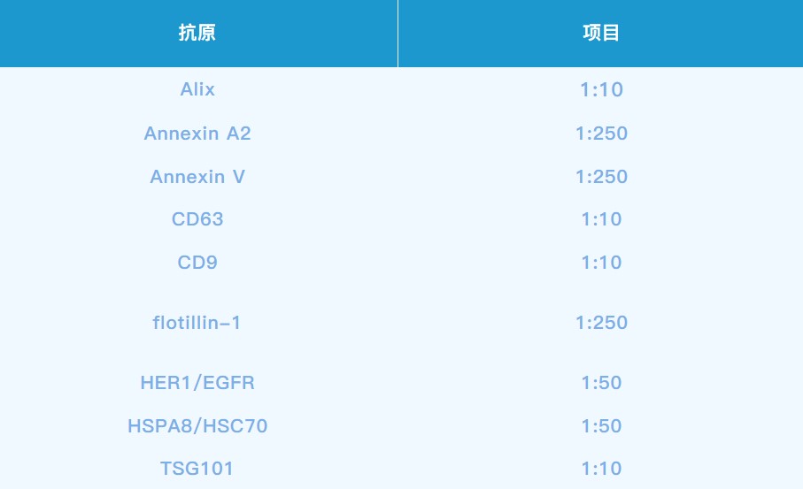 外泌體研究卡殼？Simple Western 讓檢測(cè)效率翻倍