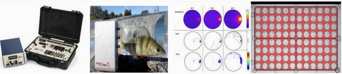第二十四屆中國生態(tài)學大會邀請函
