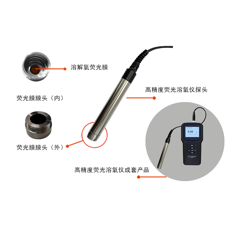 溶解氧手持仪产品组成-.jpg