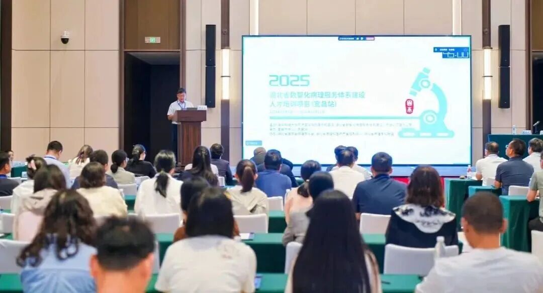 助力湖北“數(shù)智化病”培訓(xùn)項目，讓冰凍切片更輕松！