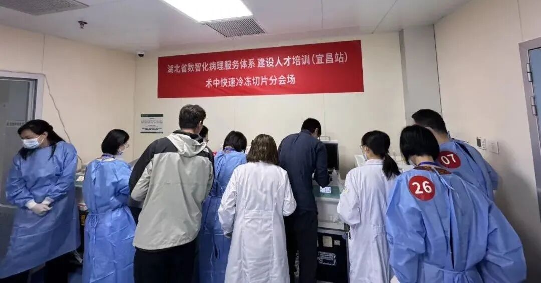 助力湖北“數(shù)智化病”培訓(xùn)項目，讓冰凍切片更輕松！