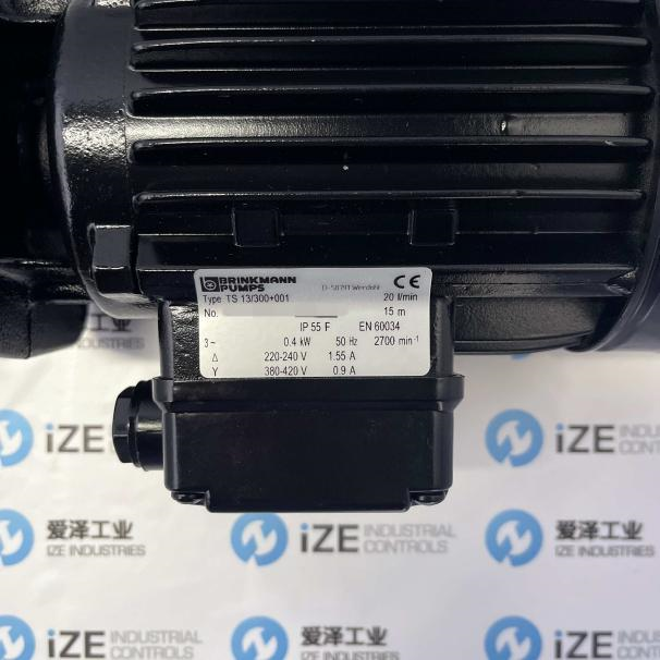 Brinkmann泵TS13300+001 愛澤工業 izeindustries (8)_副本