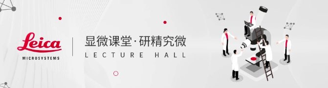 f282c03b-e366-4a75-918c-94fa59ae31ae.png 显微课堂 | 学习如何从共聚焦图像中去除自发荧光