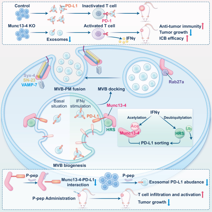 6389673021950203353110169