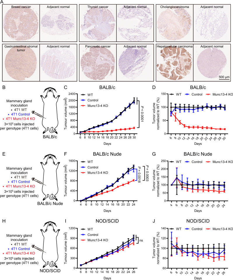 6389673023880092486662021