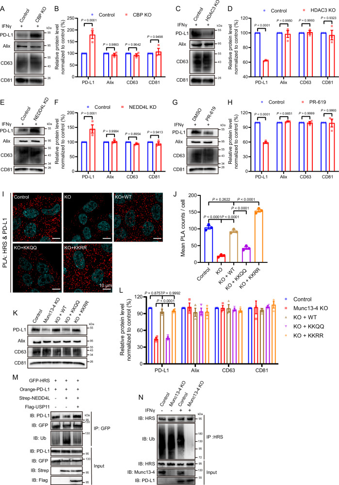 6389673033937058017417898