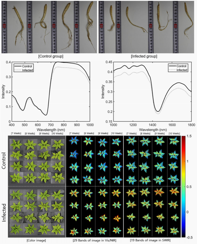 53.png 賦能藥用植物研究-易科泰表型設備落地吉林農大
