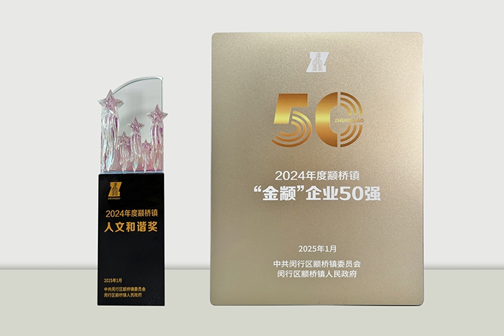 企业50强-1.jpg 立格再获2024年度颛桥镇“人文和谐奖