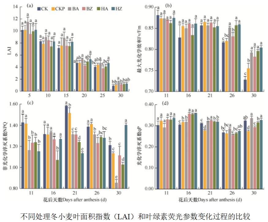 叶绿素荧光成像农学领域应用——作物篇