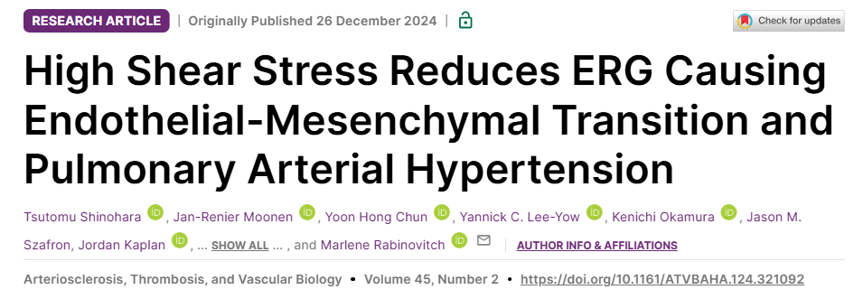 高剪切应力降低 ERG，导致内皮细胞间充质转化和肺动脉高压