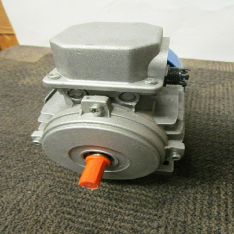 意大利M.T. Motori TFP系列发照片(2).png