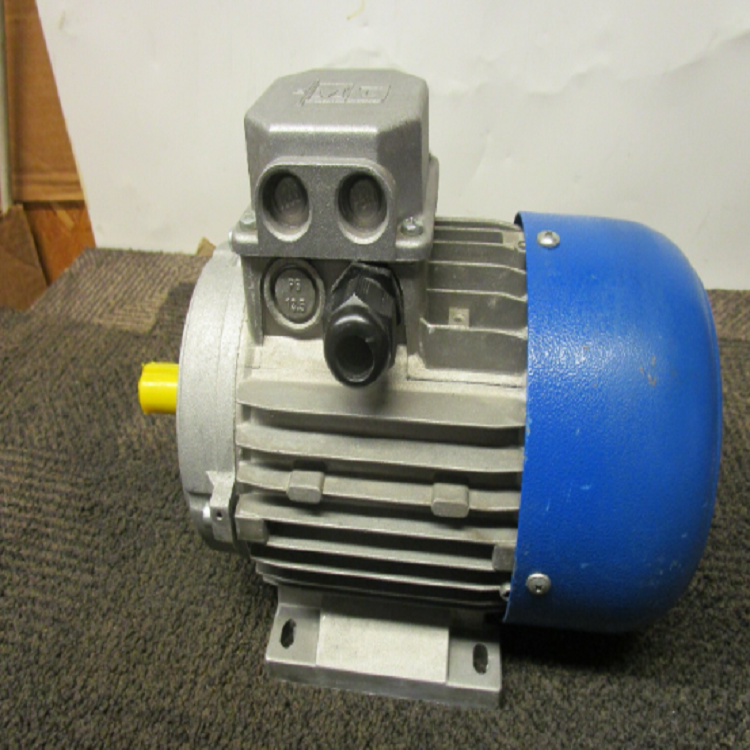 意大利M.T. Motori TFP系列发照片(1).png