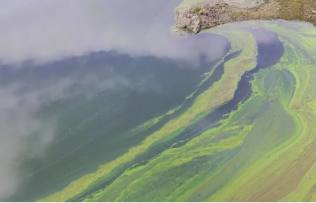 image.png 重点水库水质反演 | 空—水协同水华预警新方案,精准巡查多水质参数