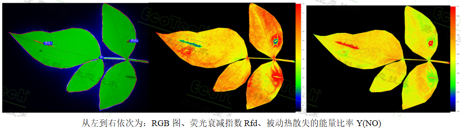 賦能農林科研與技術推廣：易科泰雙系統落地重慶三峽職業學院