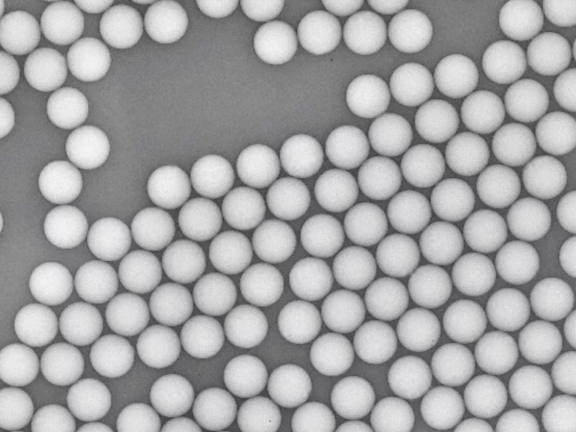 image.png 賽默飛世爾Thermo Fisher微粒微球 產品介紹