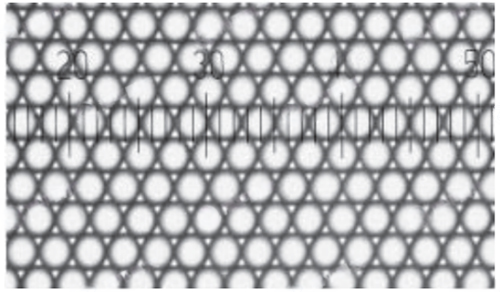 image.png 賽默飛世爾Thermo Fisher微粒微球 產品介紹