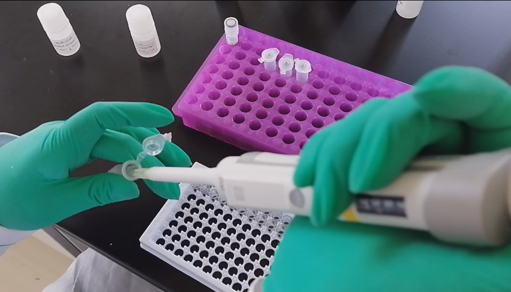 【BUNSEN本生】做elisa实验时需要注意哪些问题?