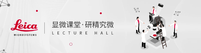 优秀的晶圆检测显微镜应具备什么能力？