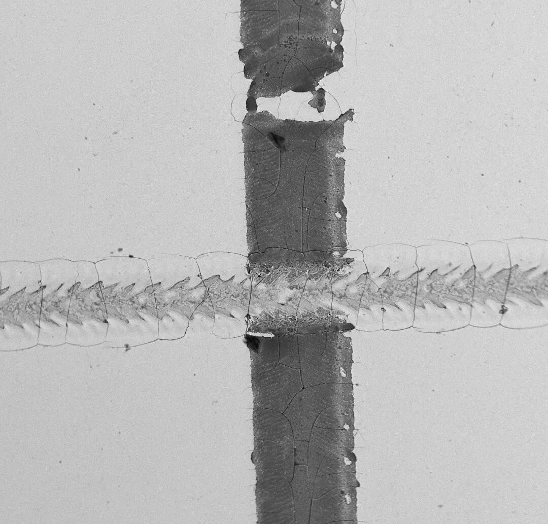 材料疲劳与裂纹:从宏观裂缝到微观起源