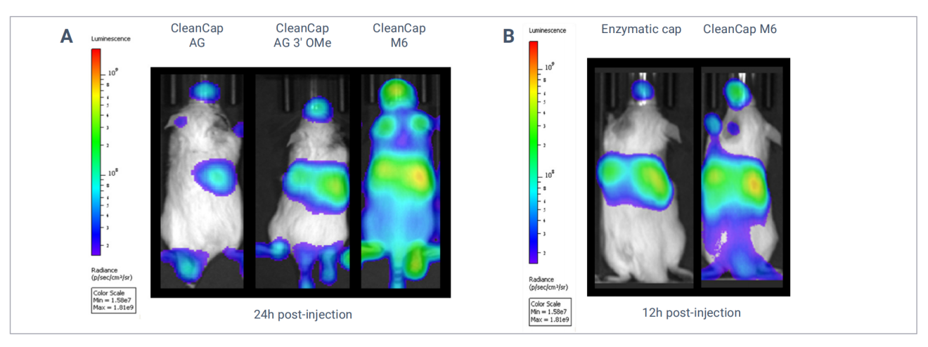 TriLink的Next-level体外转录(IVT)试剂盒,高性能RNA合成