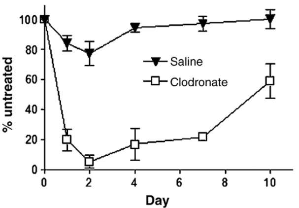 肺部巨噬細胞清除|氯膦酸鹽脂質體Clodronate Liposomes氣管給藥文獻一