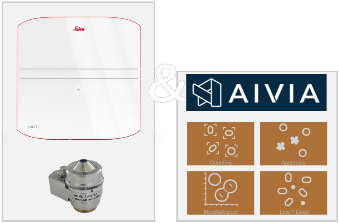 1.png 重磅发布|Mica 多模态成像系统携手 Aivia AI 分析软件打造多孔板成像分析解决方案