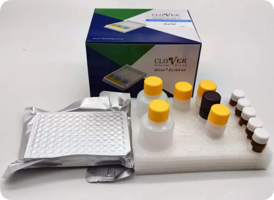 Safeguarding Dairy Integrity – The iElisa Aflatoxin M1 Quantitative Kit from Clover Technology Group