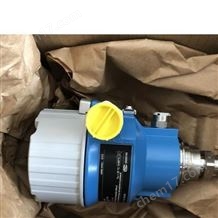 德國E+H液位計/E+H儀器儀表