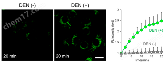 脂質(zhì)過氧化研究的新工具！