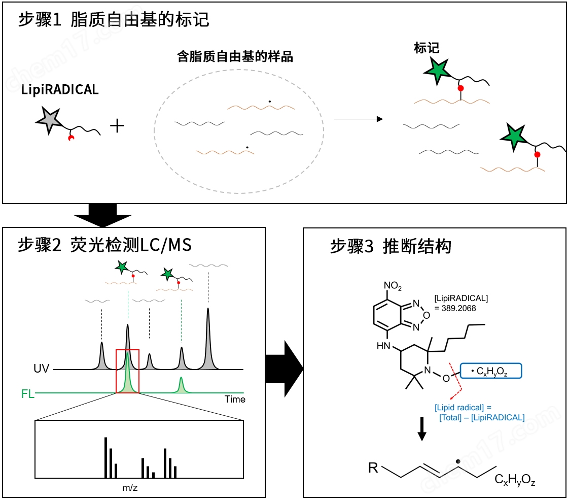 脂質(zhì)過氧化研究的新工具！