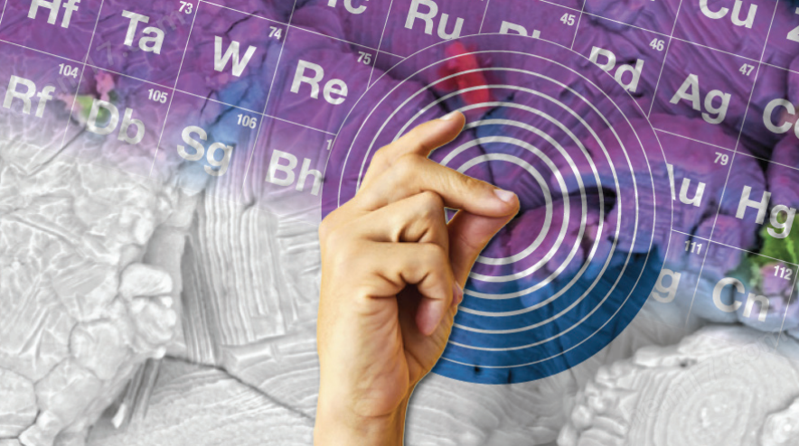 image.png 掃描電子顯微鏡