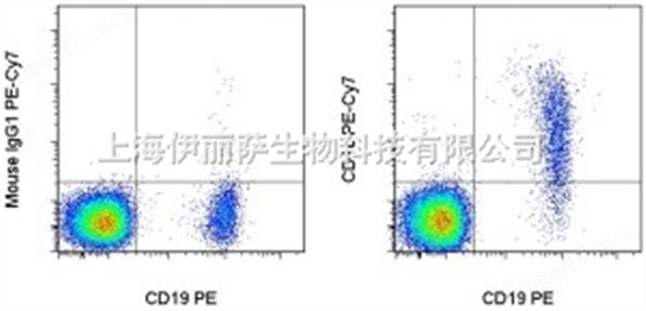 Anti-Human CD1c PE-Cyanine7