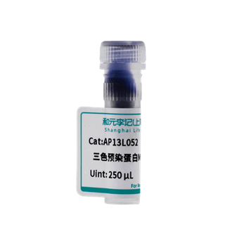 三色預(yù)染蛋白Marker（10-180KD）