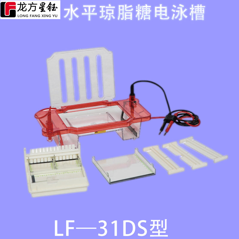 龍方星鈺LF—31DS水平瓊脂糖電泳槽
