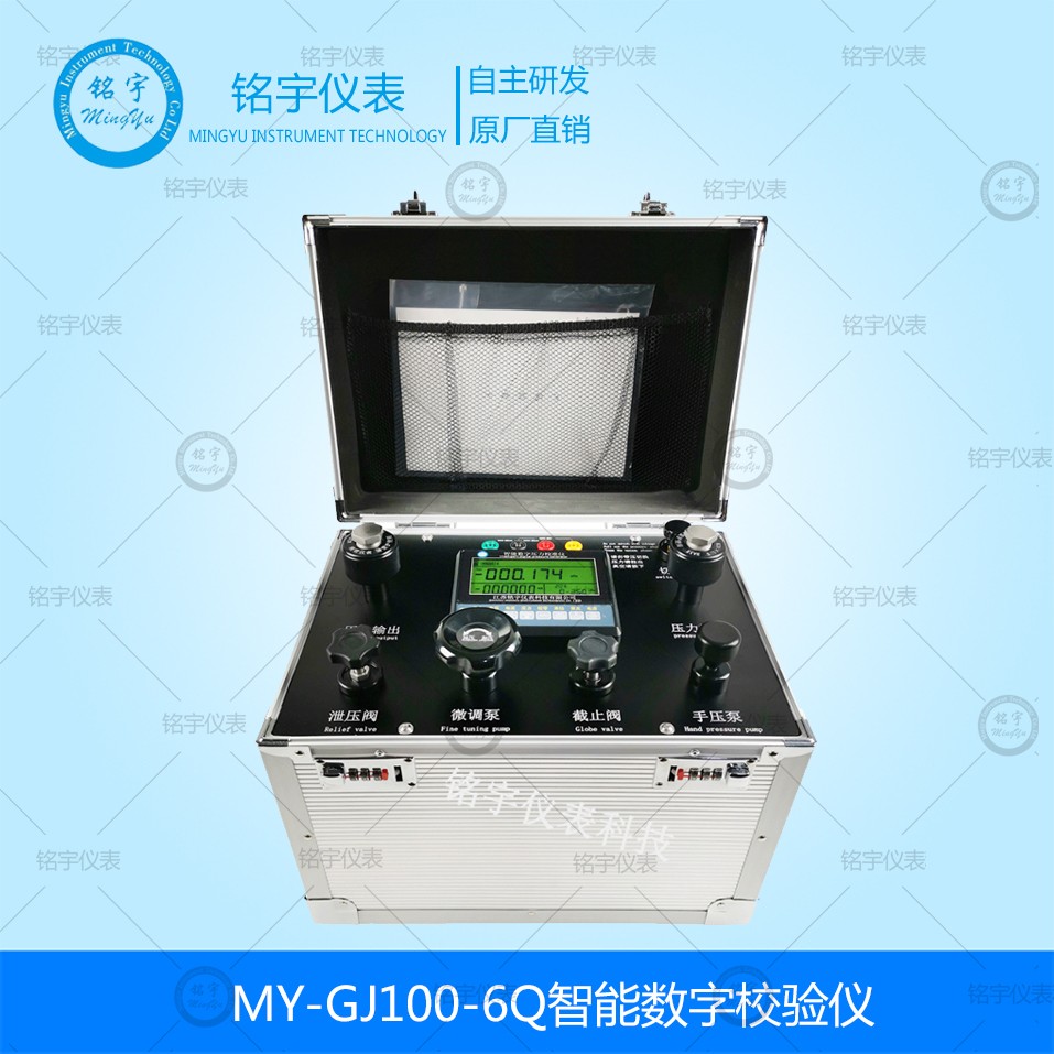 MY-GJ100-6Q智能数字校验仪