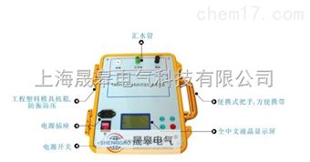 DLSL水内冷发电机兆欧表