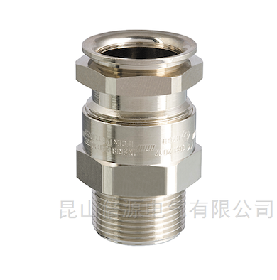 Capri ADE-1F2-非铠装电缆接头CAP806594V1L